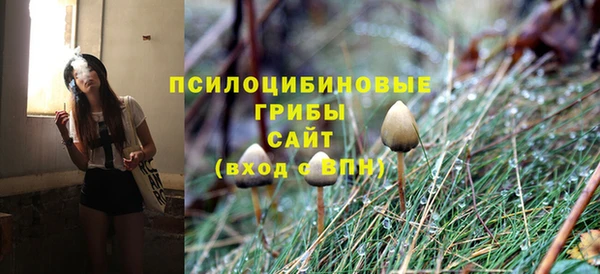PSILOCYBIN Алзамай