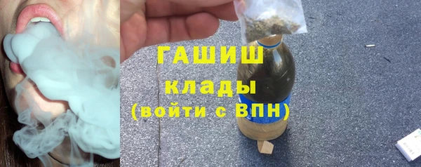 PSILOCYBIN Алзамай