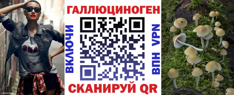 Галлюциногенные грибы Cubensis  Пучеж 